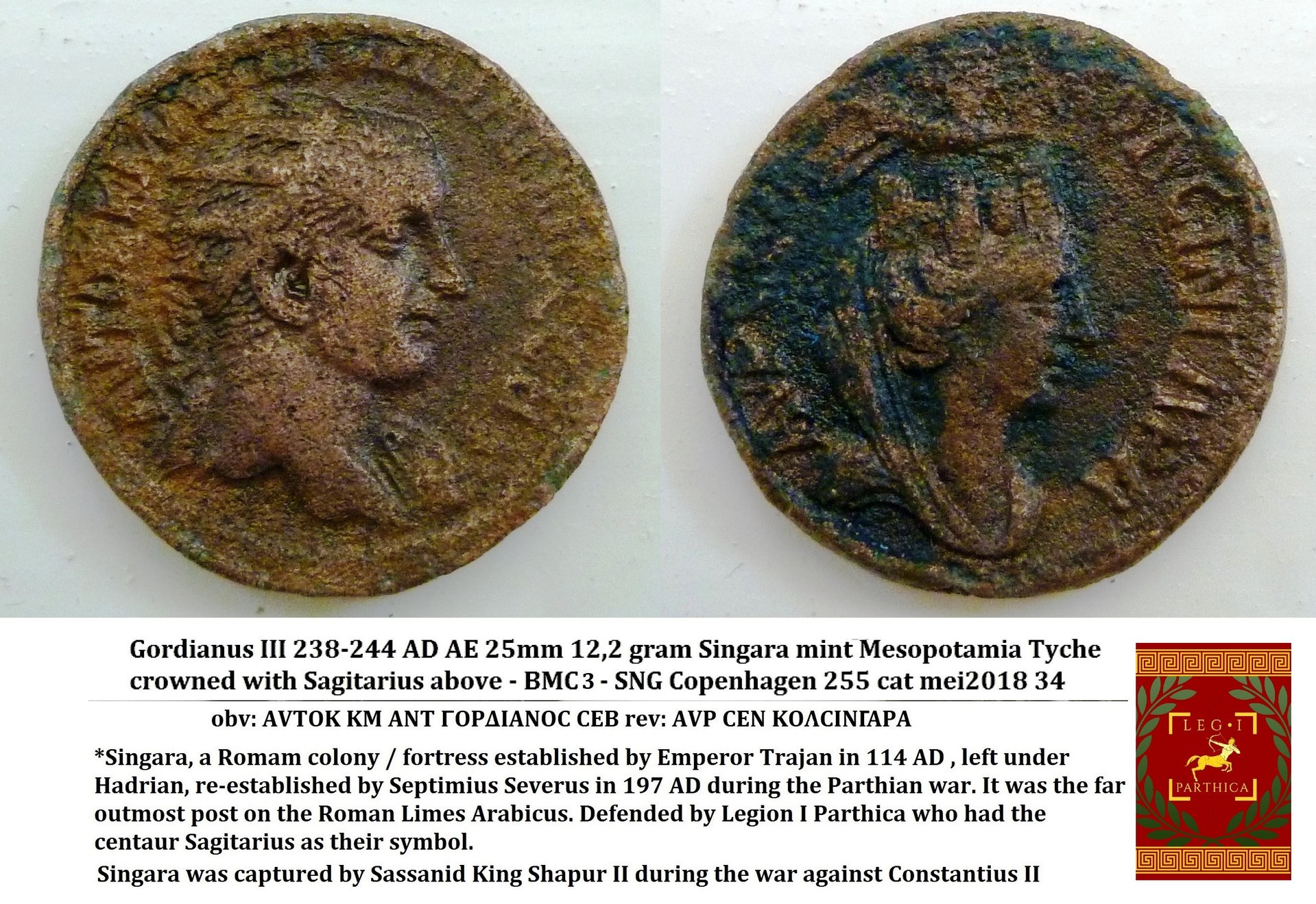 singara gordianus beschrijving43.jpg