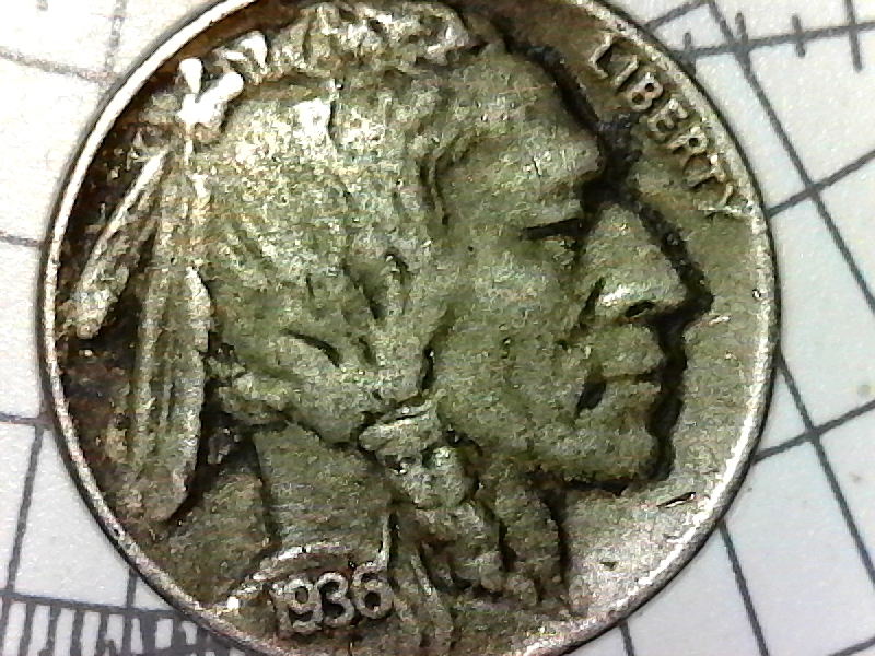 1936 Indian Head Nickel Living In A Coinroll Coin Talk,Kabocha Squash Nutrition Facts