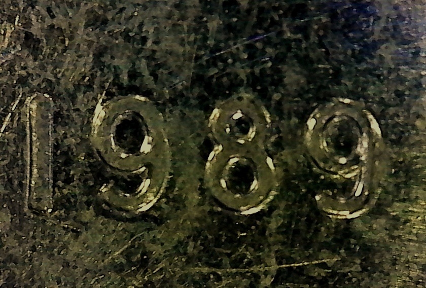 SingleShot000134-crop.jpg