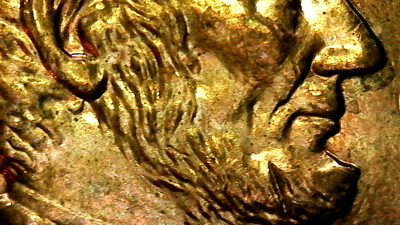 SingleShot0004-2006.jpg