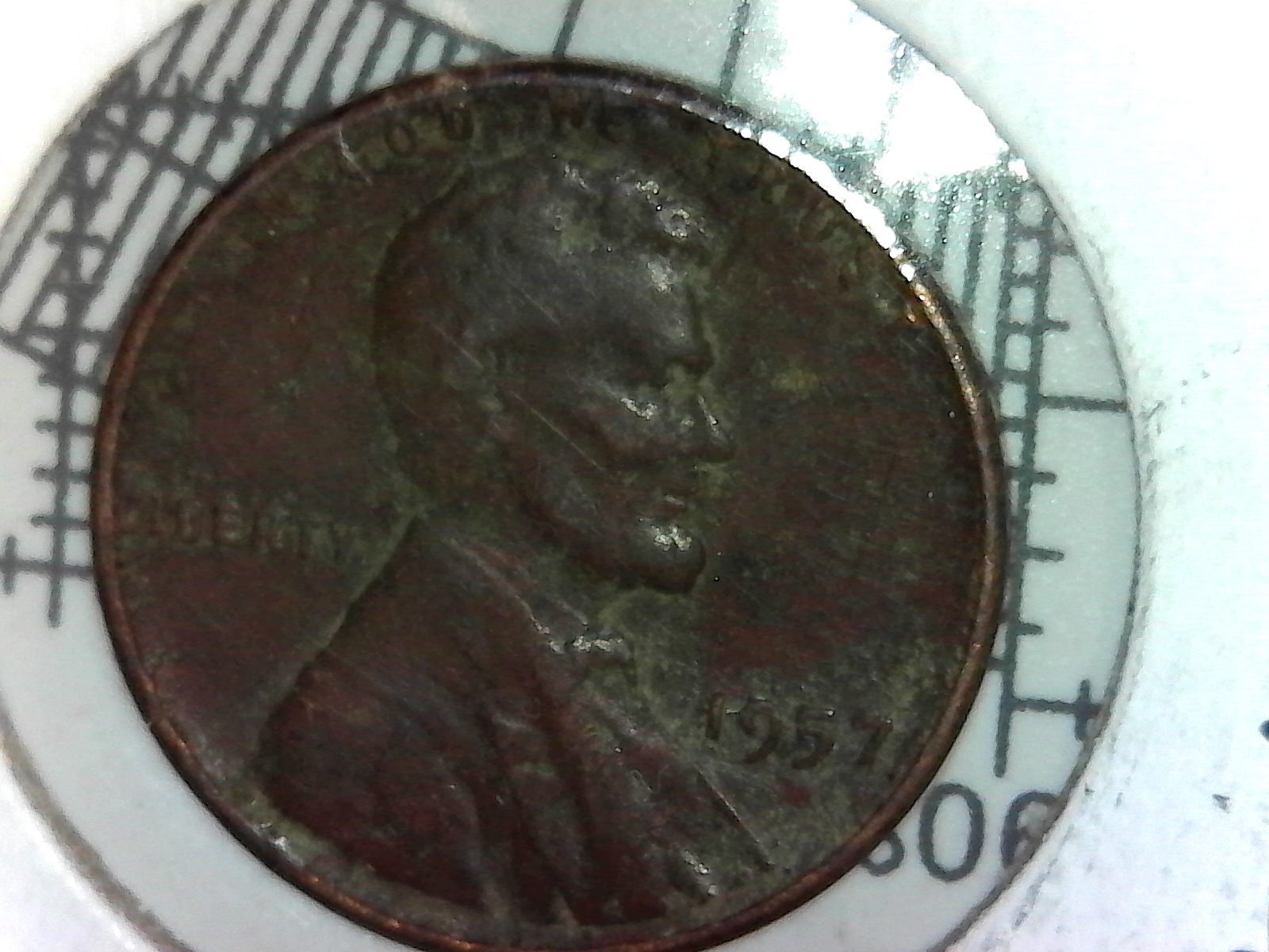 SingleShot0008.jpg