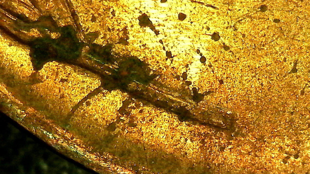 SingleShot0012-1938.jpg