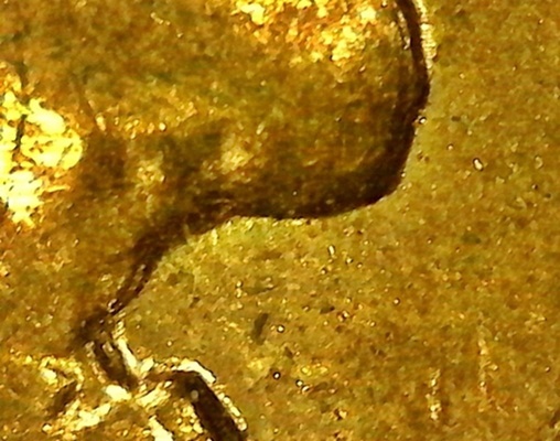 SingleShot0012.jpg