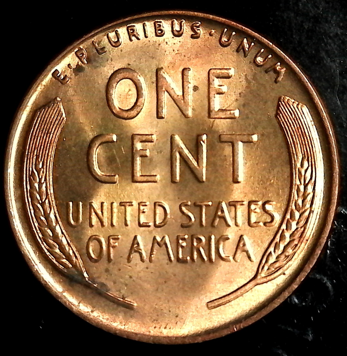 SingleShot0023-1938.jpg