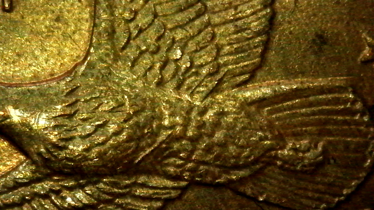 SingleShot0044-wounded eagle.jpg