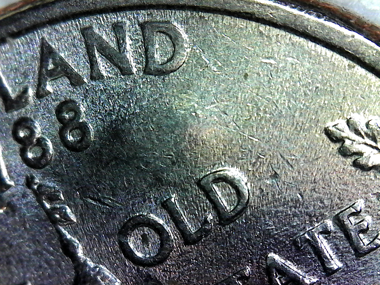 SingleShot0056 (2).jpg