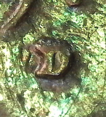SingleShot0073.jpg