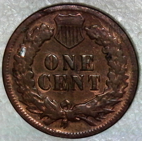 SingleShot0380.jpg