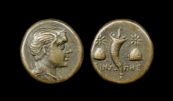 sinope 6.jpg