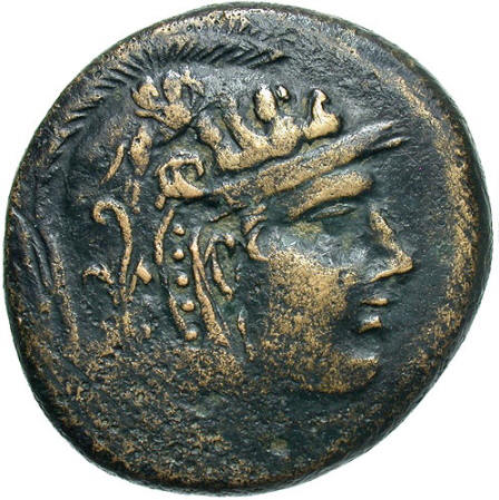 Sinope Medusa a.jpg