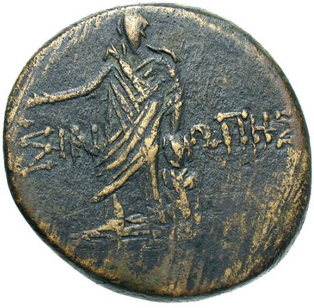 Sinope Medusa b.jpg