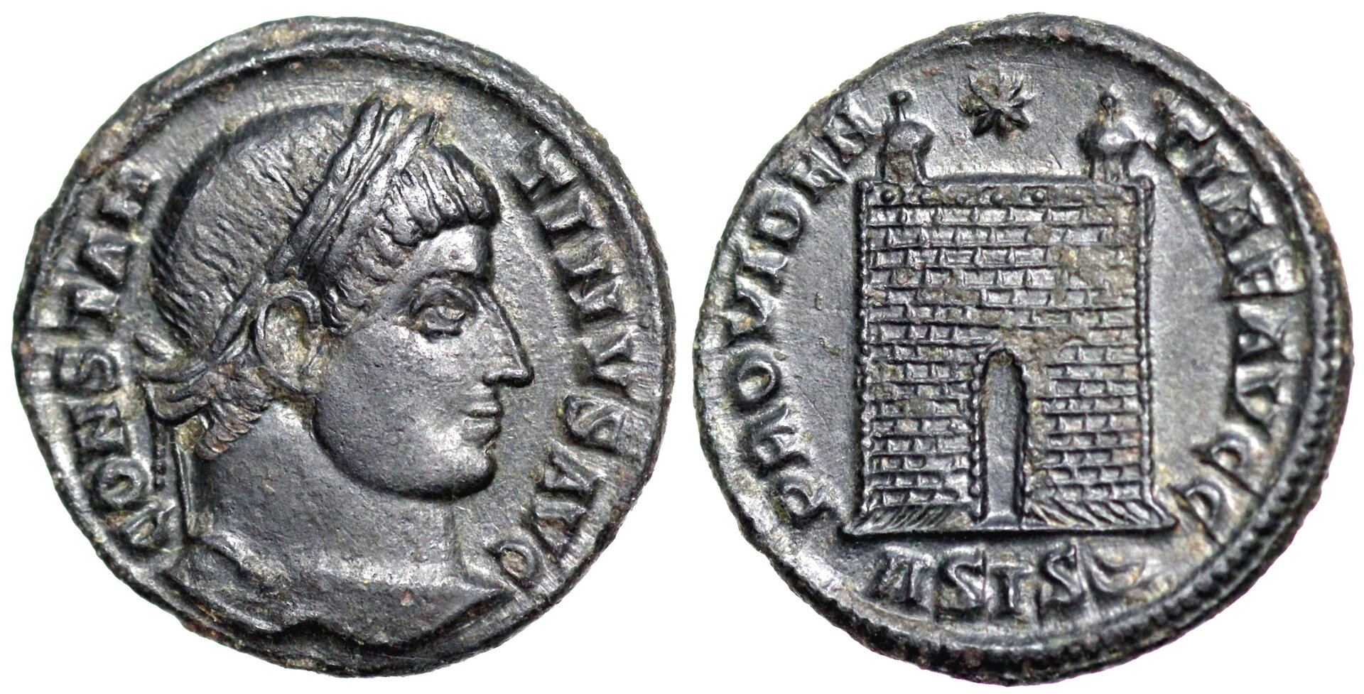 Siscia_214_18rows.JPG