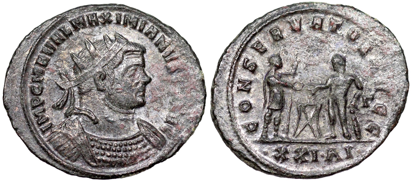 Siscia_580_AI_3.jpg