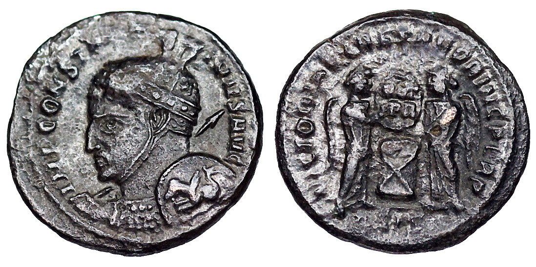 Siscia_VLPP_56_hippocamp (1).jpg