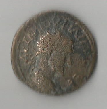 Sito O.jpg