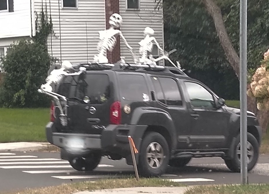 Skeletons.jpg