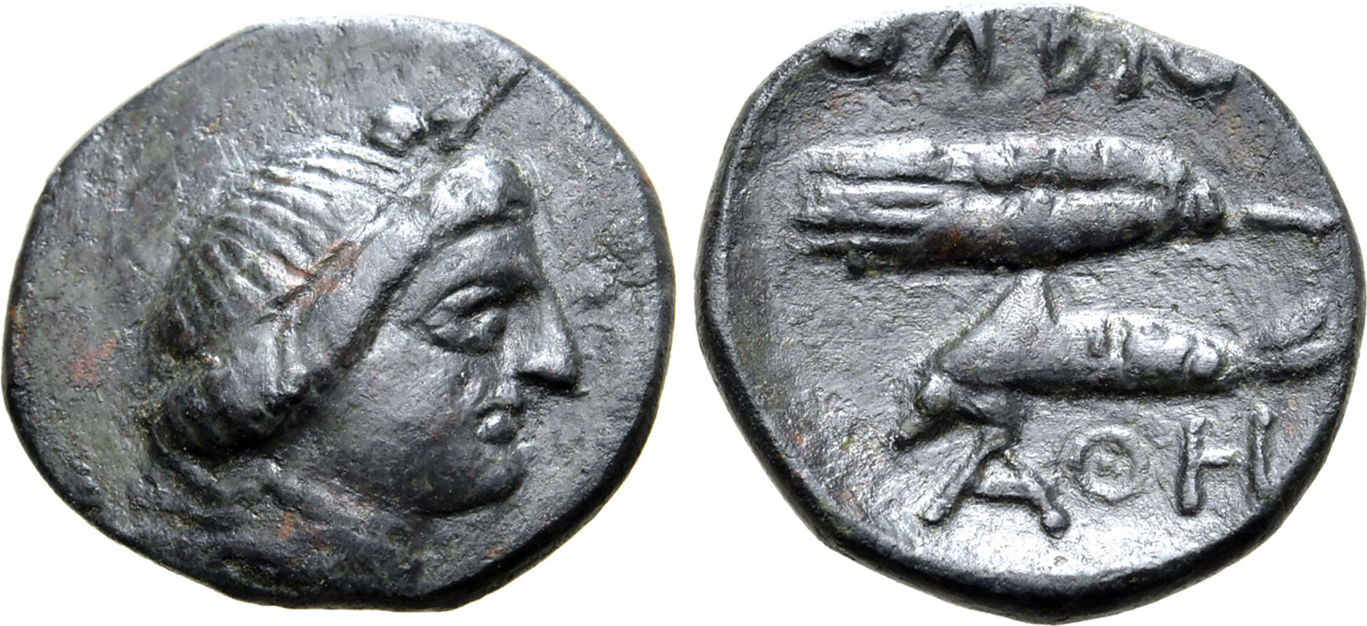 Skythia 350 01.jpg