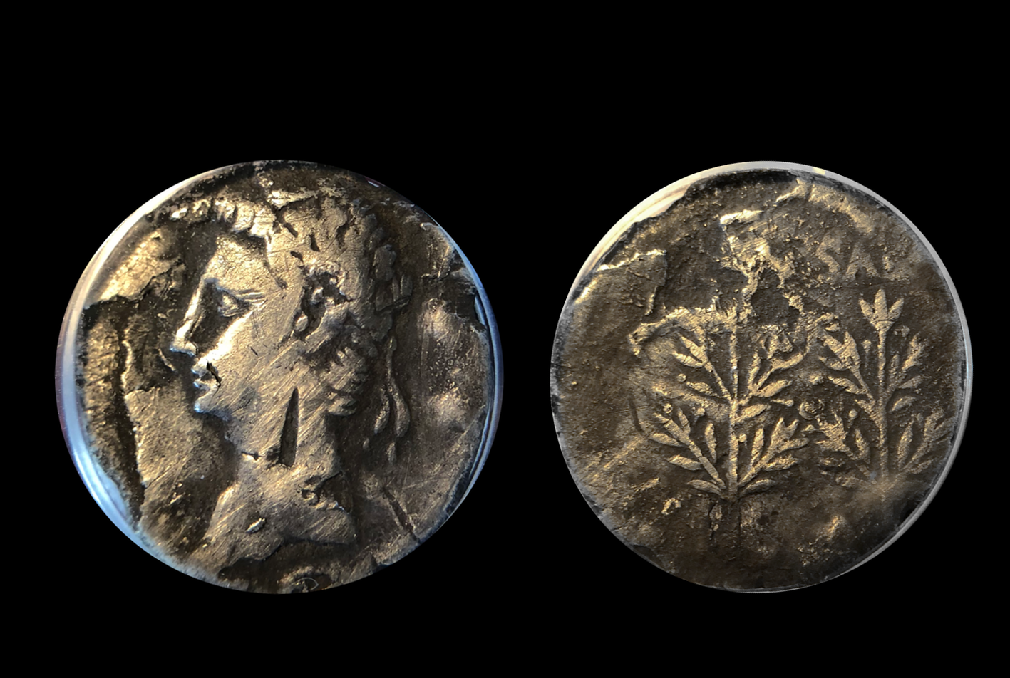 Slabbed Augustus.png