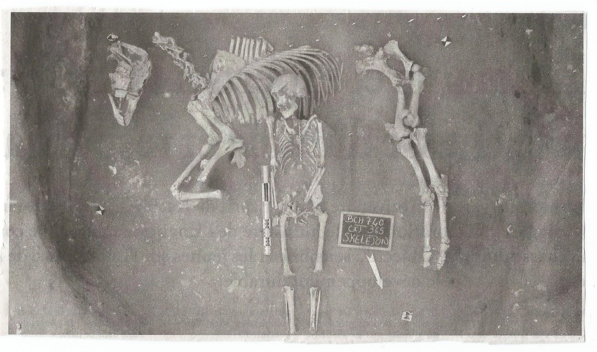 SLB 4 001.jpg
