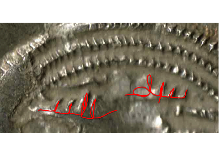 Slide1.jpg