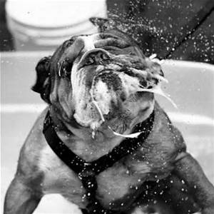 slobber.jpe