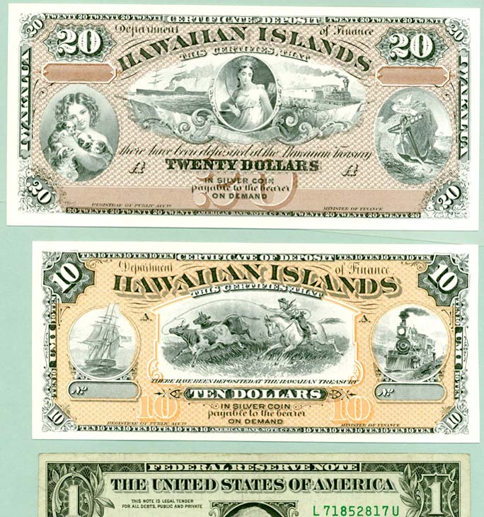 Sm Hawaiian notes.jpg