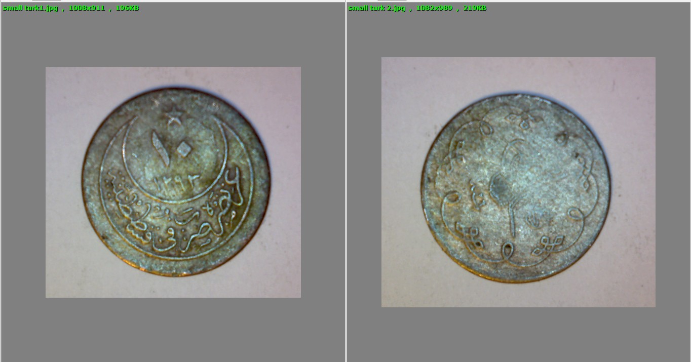 Small Turk Coin.jpg