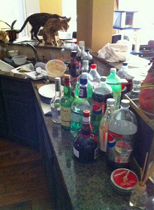 SmBaconFestMorningAfter.jpg