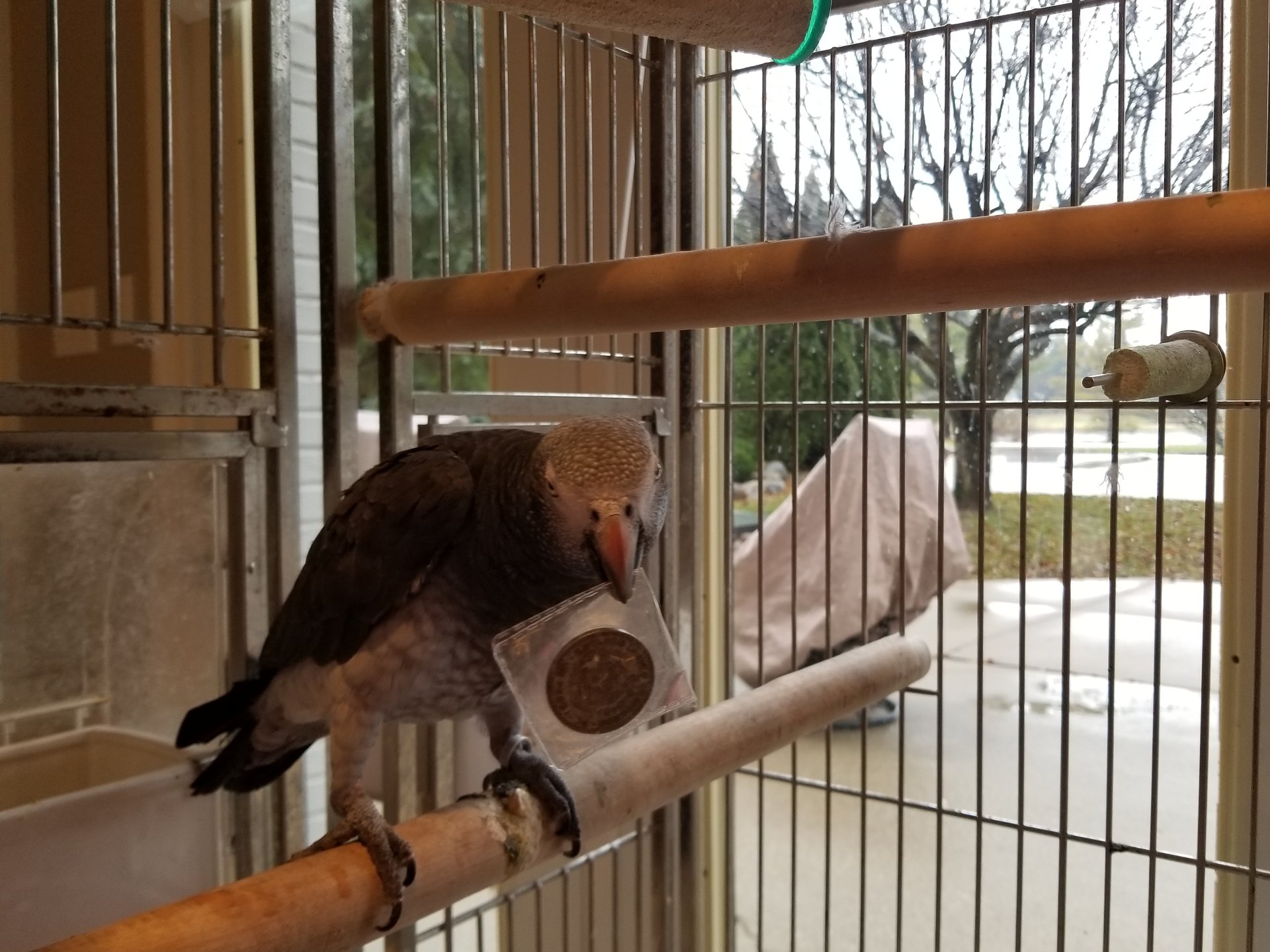 Smokey with coin.jpg