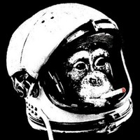 Smoking Chimp Astronaut.jpeg