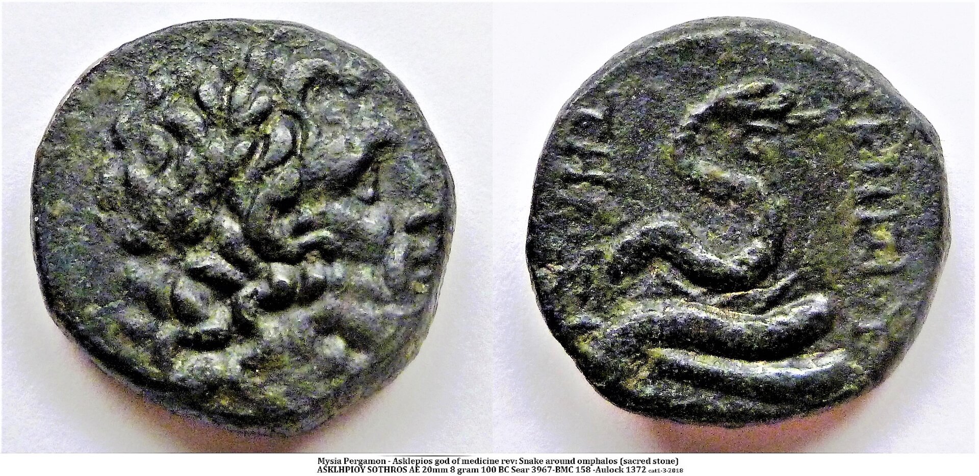 Snake Asclepious Mysia Pergamon.jpg