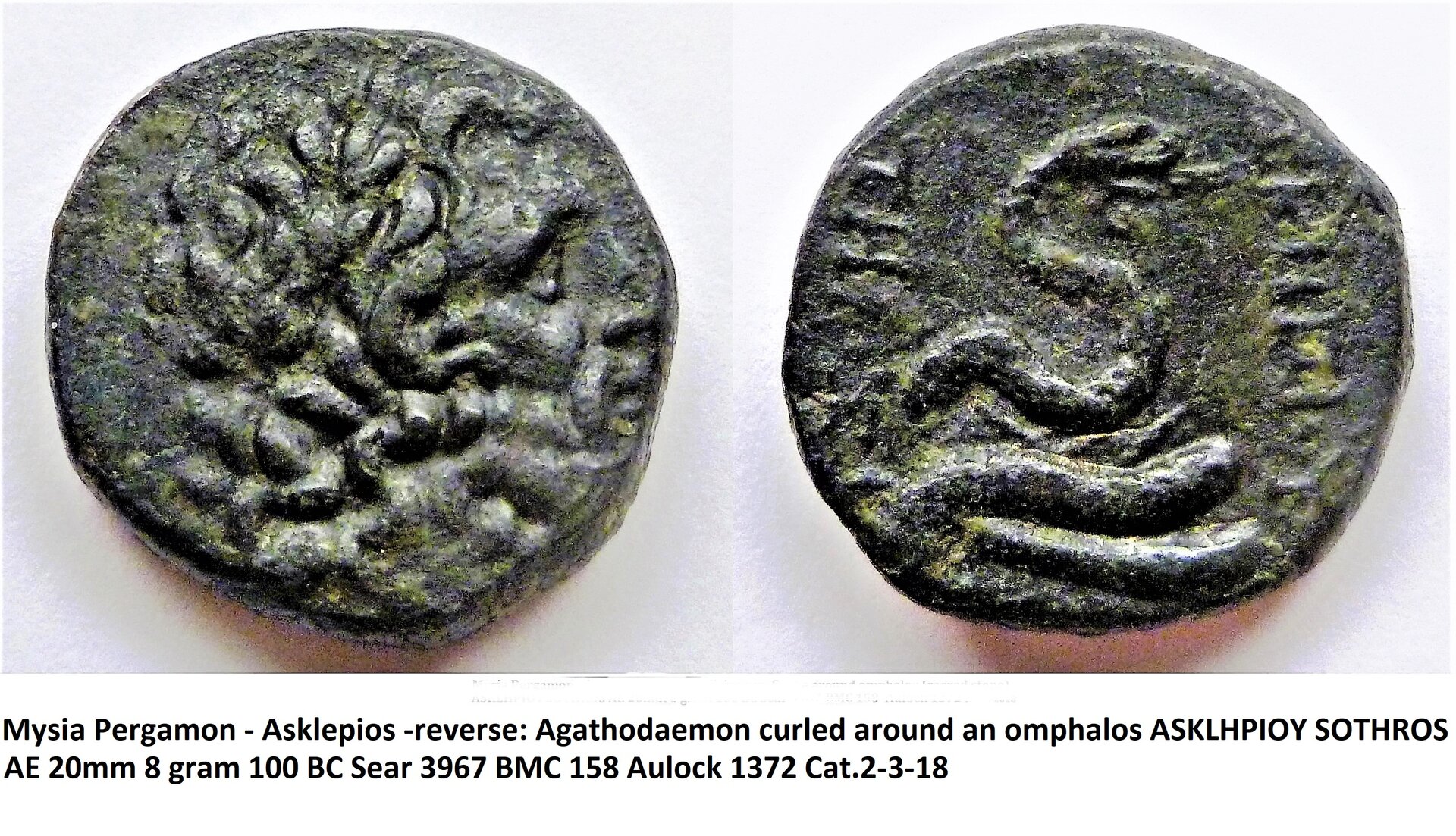 Snake Asclepious Mysia Pergamon.jpg