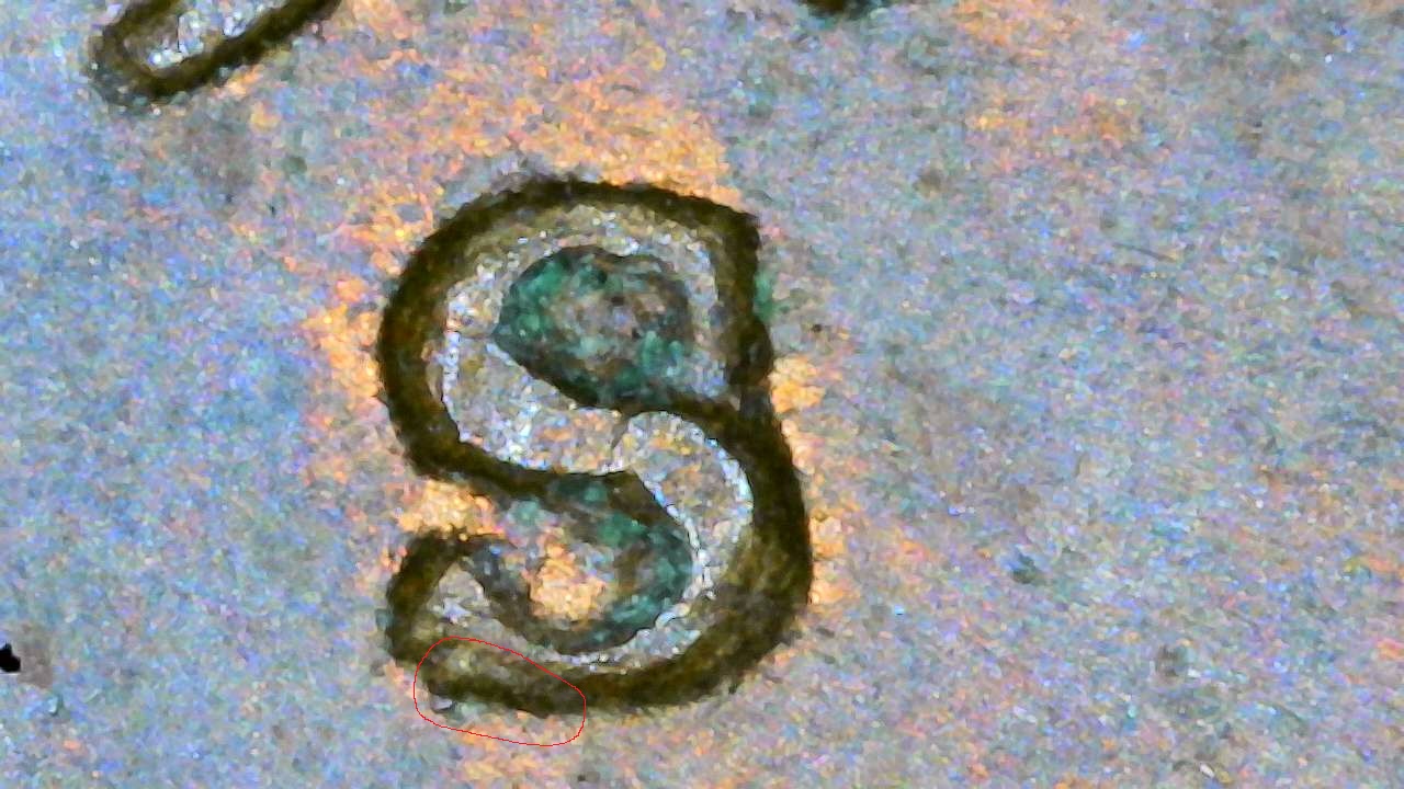 Snap_582.jpg