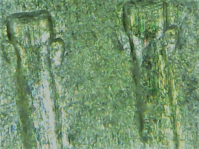 Snapshot@2018_0326_190202.jpg