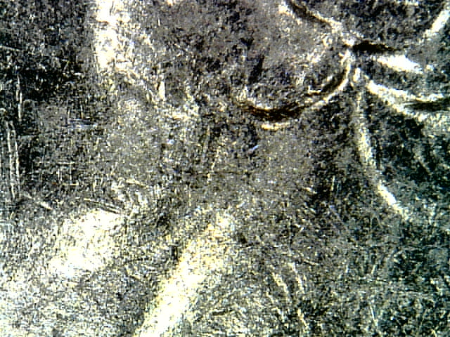 Snapshot000001.jpg