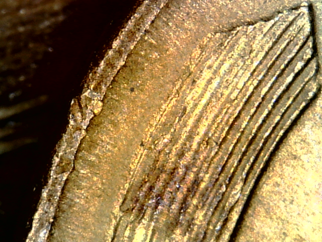 Snapshot000001.jpg