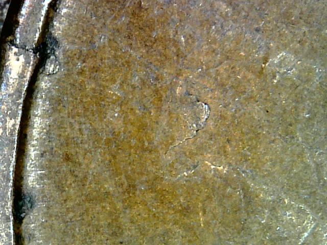 Snapshot000003.jpg