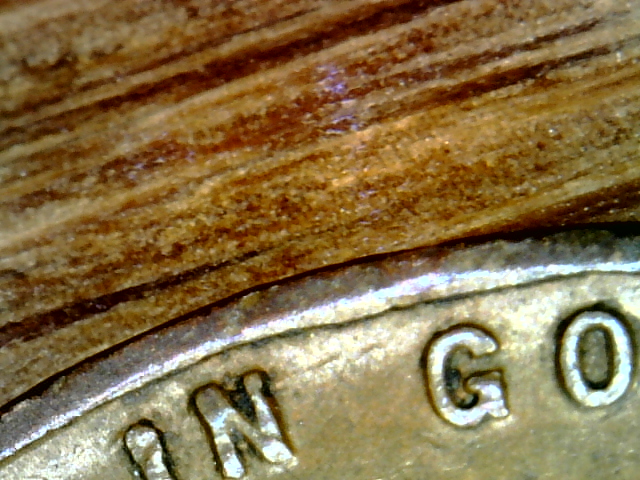 Snapshot000003.jpg