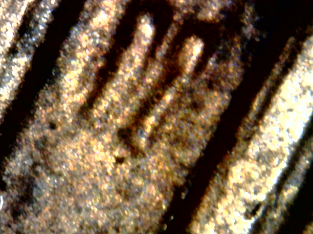 Snapshot000004.jpg