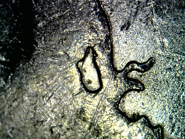 Snapshot000004.jpg