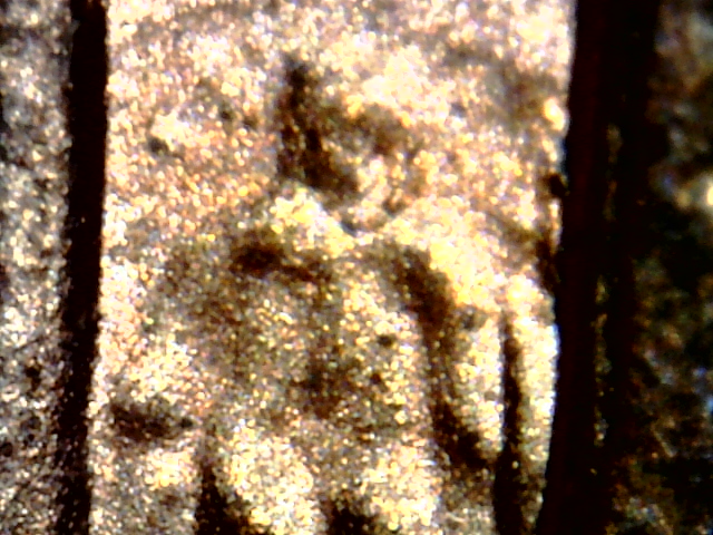 Snapshot000005.jpg