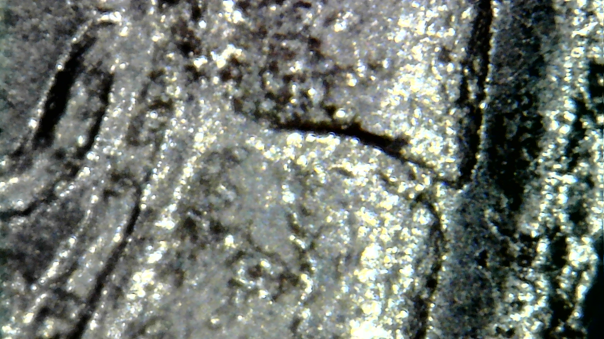 Snapshot000005.jpg