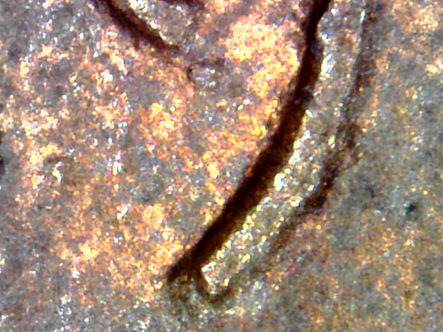 Snapshot000006.jpg