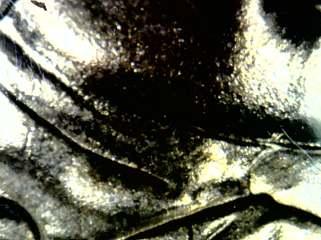 Snapshot000030.jpg