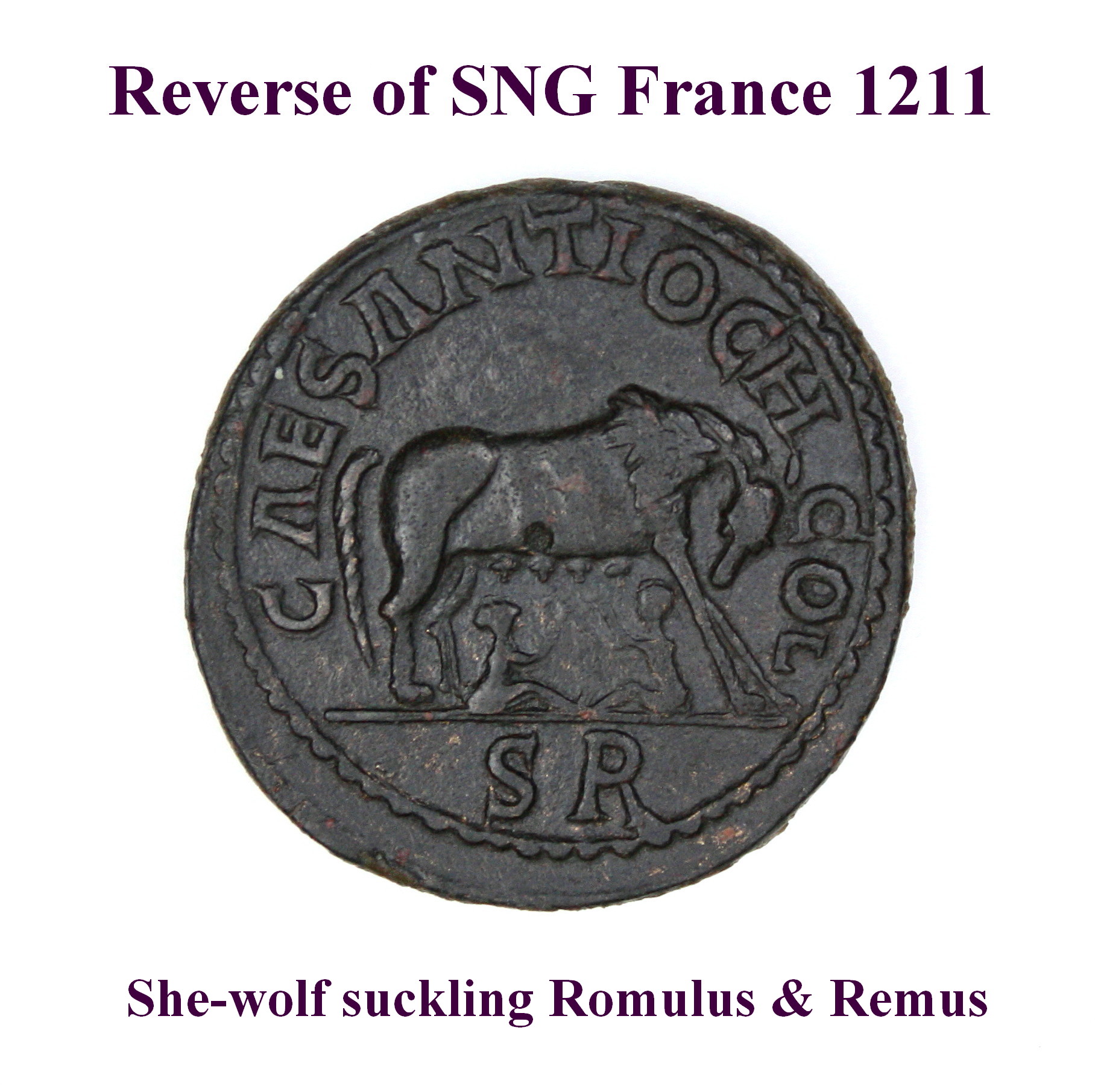 SNG France 1211 rev..JPG