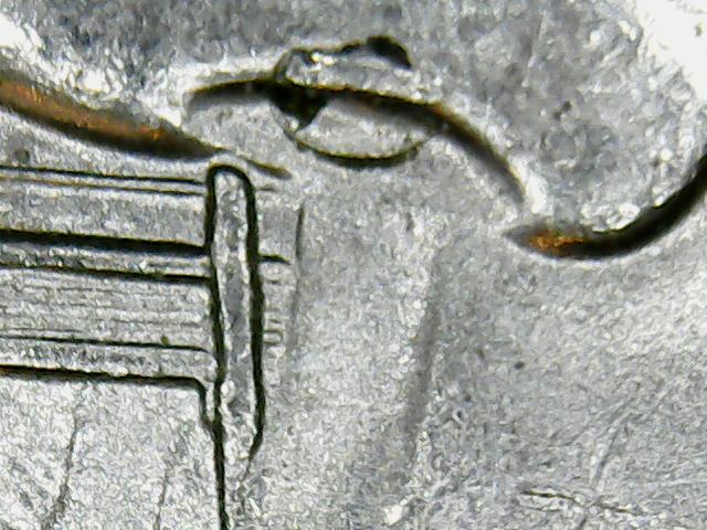 snot 005.jpg
