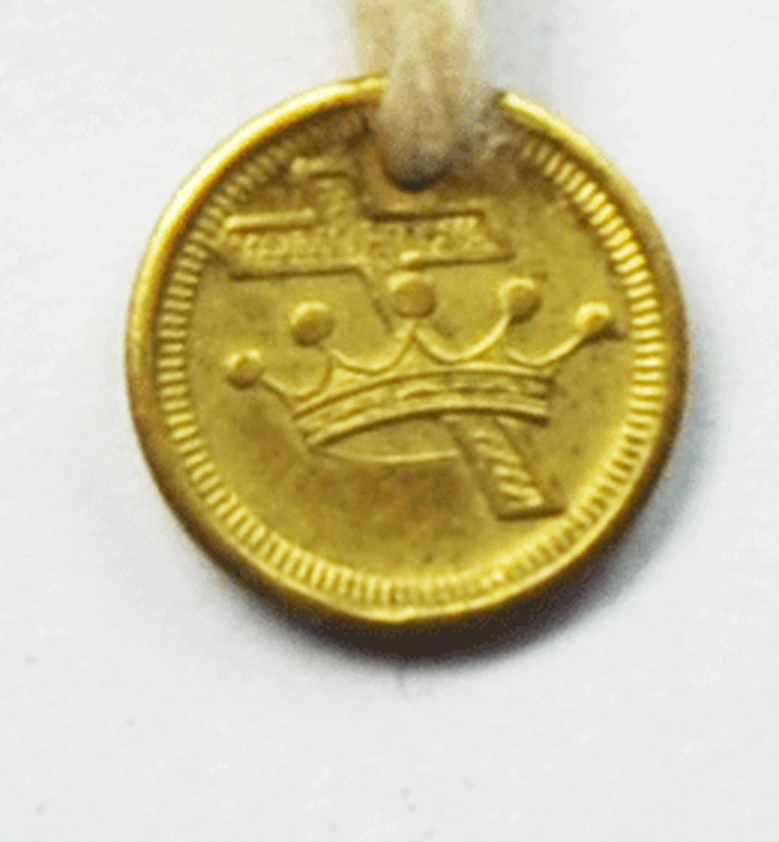 snot24k-l1600.gif