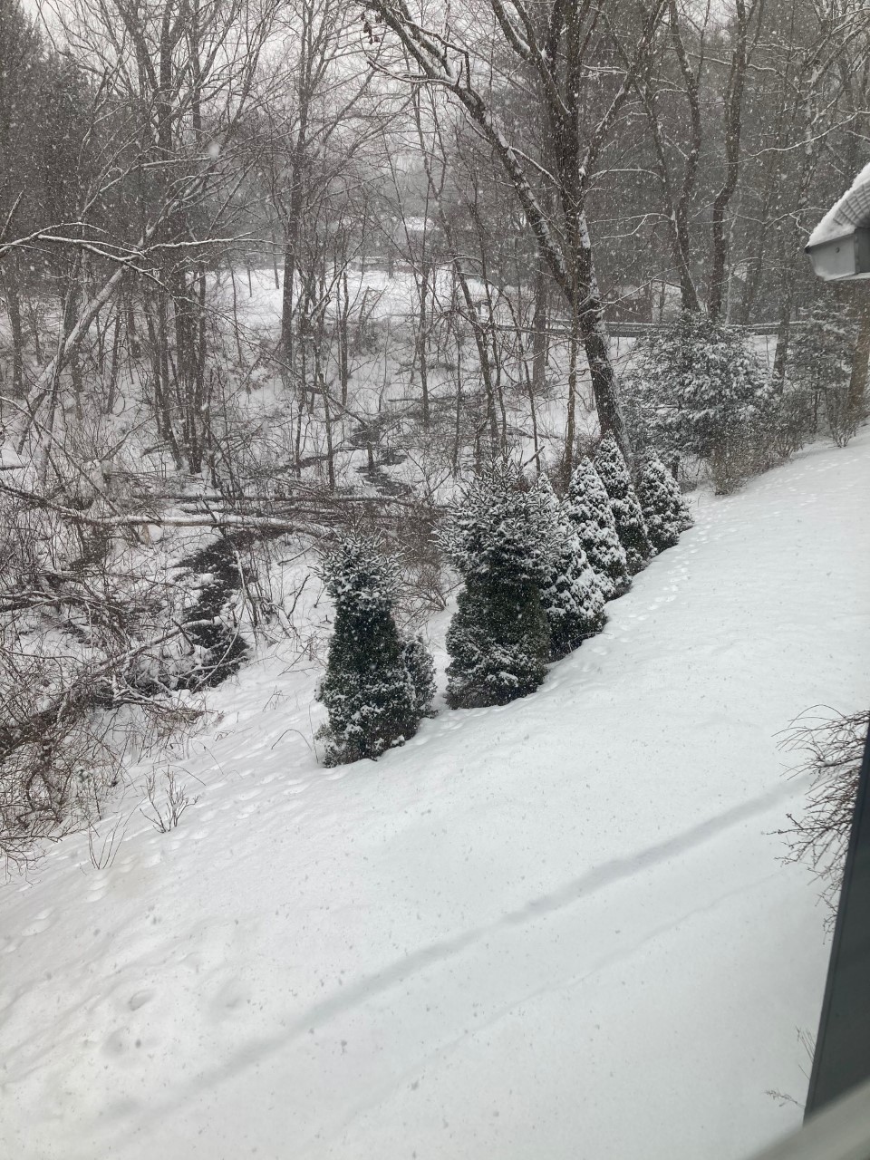 snow2021.jpg