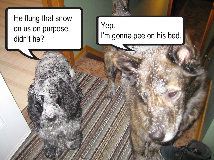 SnowDogs.jpg