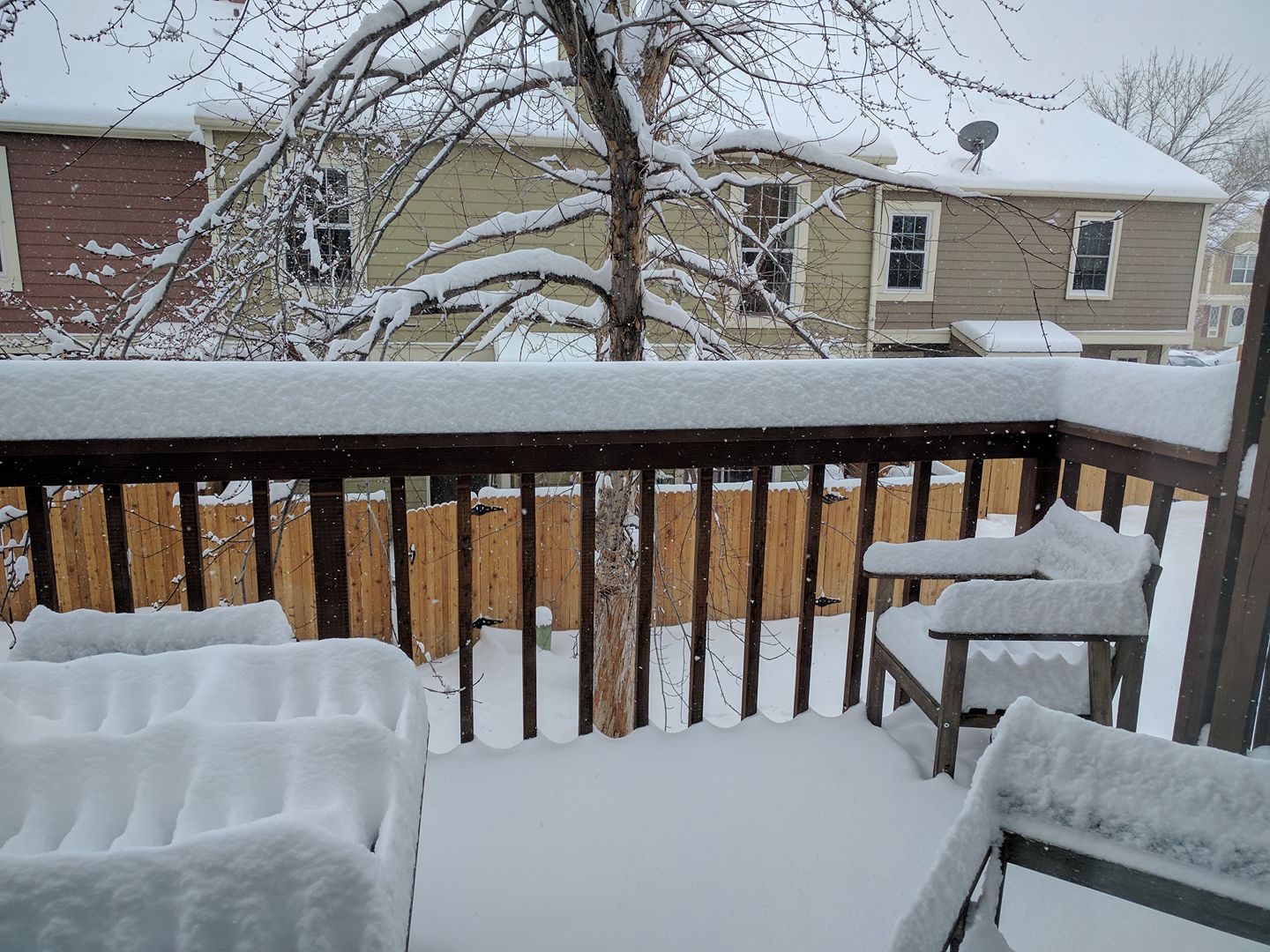 snowpic.jpg